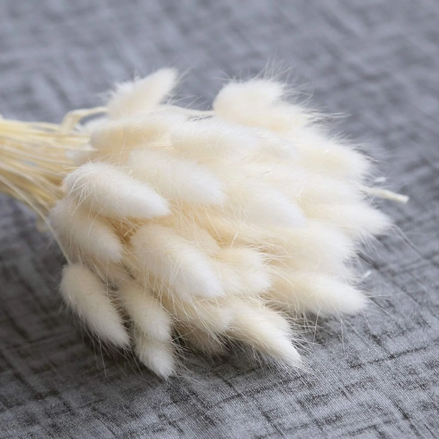 Piccola Erba Secca di Pampa,Coda di Coniglio Essiccata Mazzi di Erba 30 PCS Coda di Coniglio Pampa Erba Secca Naturale Fiore Artificiale per Matrimonio Decorazione D'interni Domestica Giardino Festa