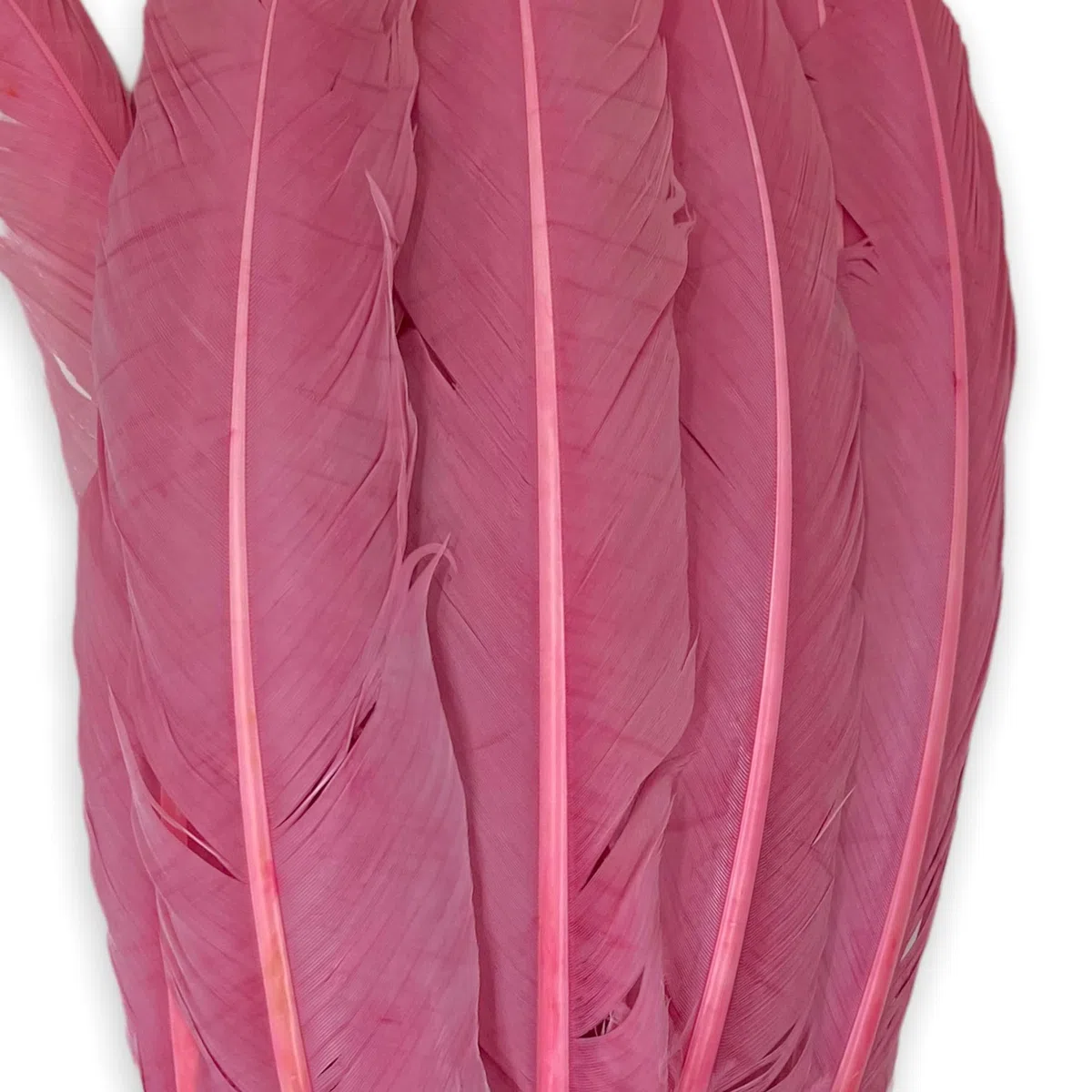 Set di piume vere, piume decorative, decorazioni per matrimoni, Natale, artigianato, maschere, costumi di Halloween e carnevale