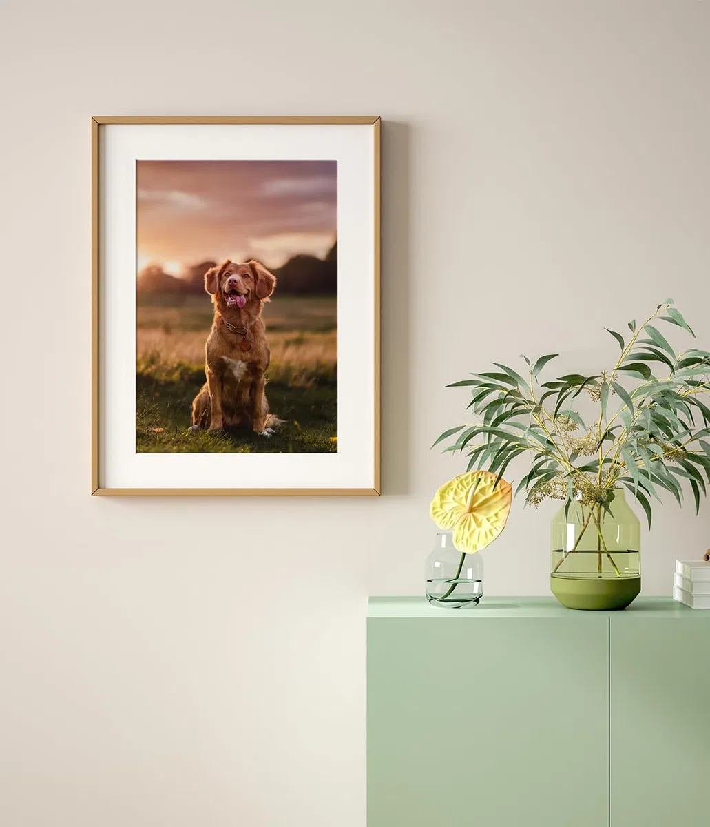 Passepartout 30x40 cm, Passepartout Beige per Formato Immagine 20x30 cm / A4 Passe-partout Cartoncino per Foto, Dipinti, Stampe Artistiche - Beige / 1,5 mm