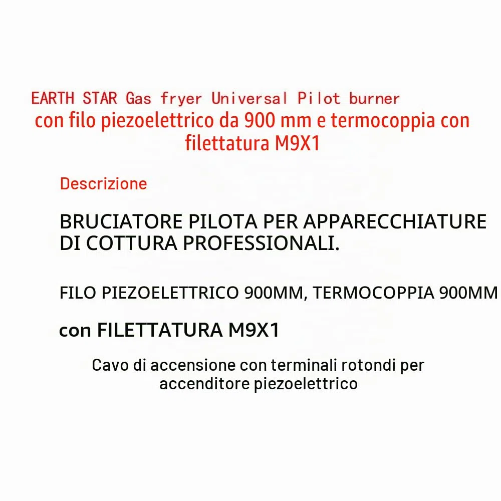 Earth Star, bruciatore pilota universale per friggitrice a gas, con filo piezoelettrico da 900 mm e filo M9X1 con termocoppia