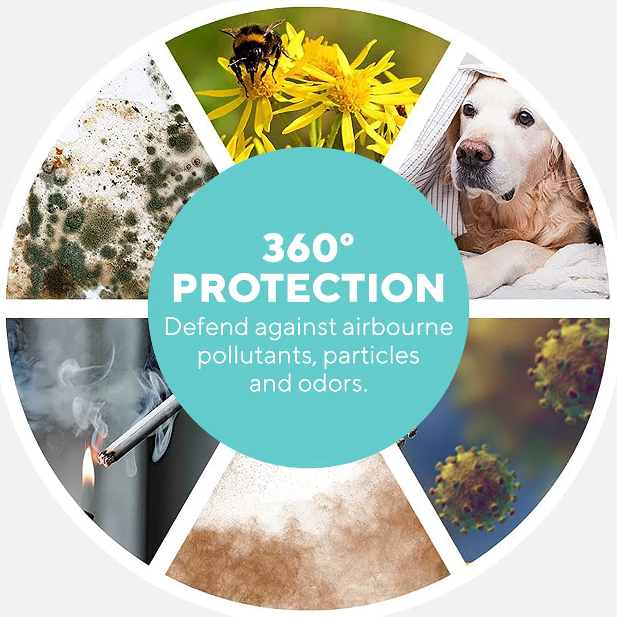 HoMedics TotalClean PetPlus Purificatore D'Aria 5 in 1 con Filtro HEPA, Rimuove Fino al 99,97% degli Allergeni Presenti Nell'Aria Fino a 0,3 Micron, 3 Velocità, Timer di Spegnimento Automatico