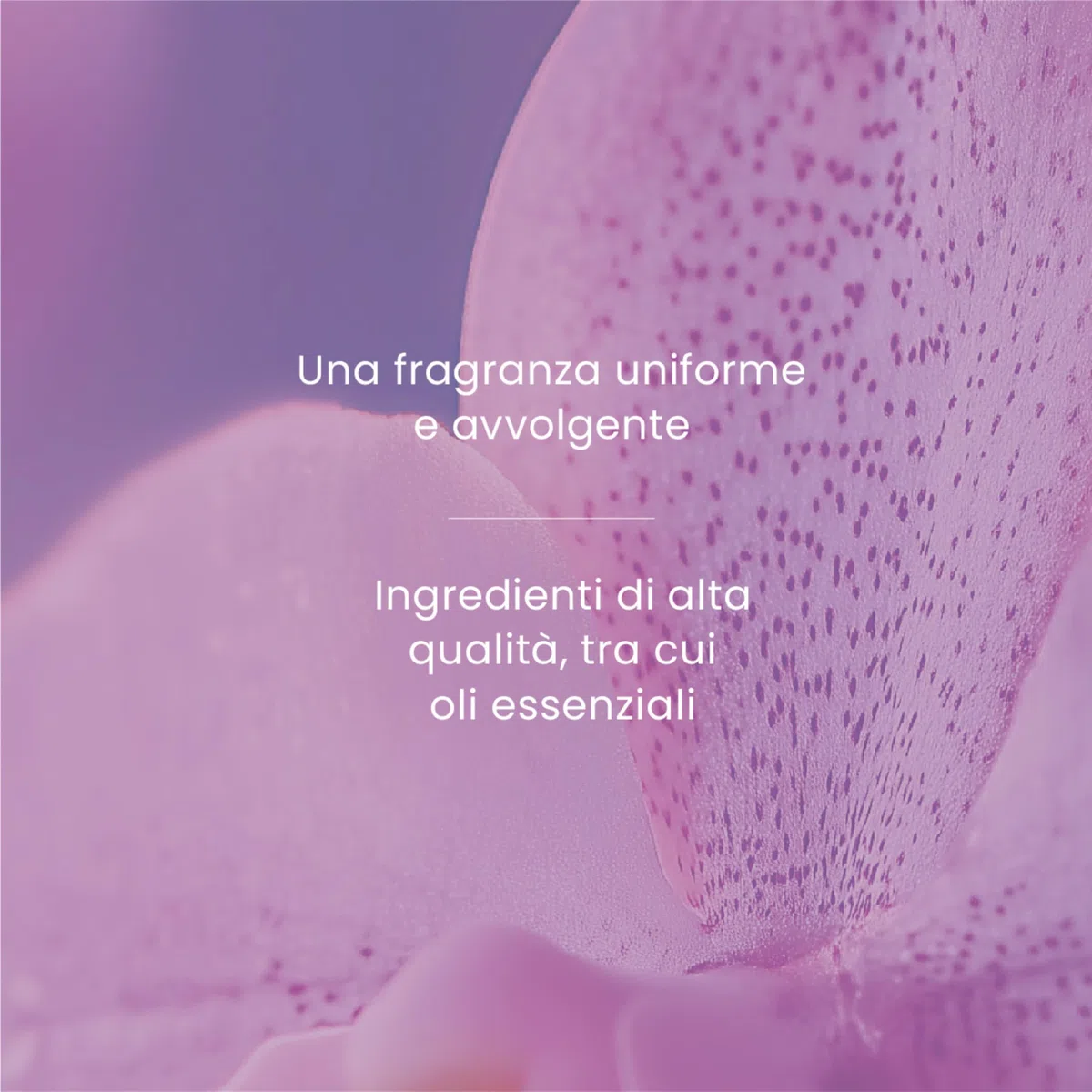 Yankee Candle Diffusore a Bastoncini | Orchidea Selvaggia | Per ambienti piccoli e medi | Fino a 10 settimane di fragranza