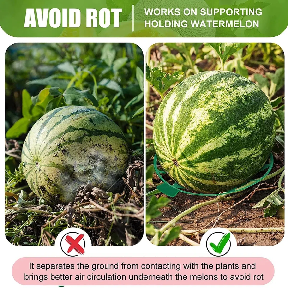 10pcs Melon Cradle Cradle Stand Watermelon Porta di anguria, Melon Support per anguria, melone, melata, zucche