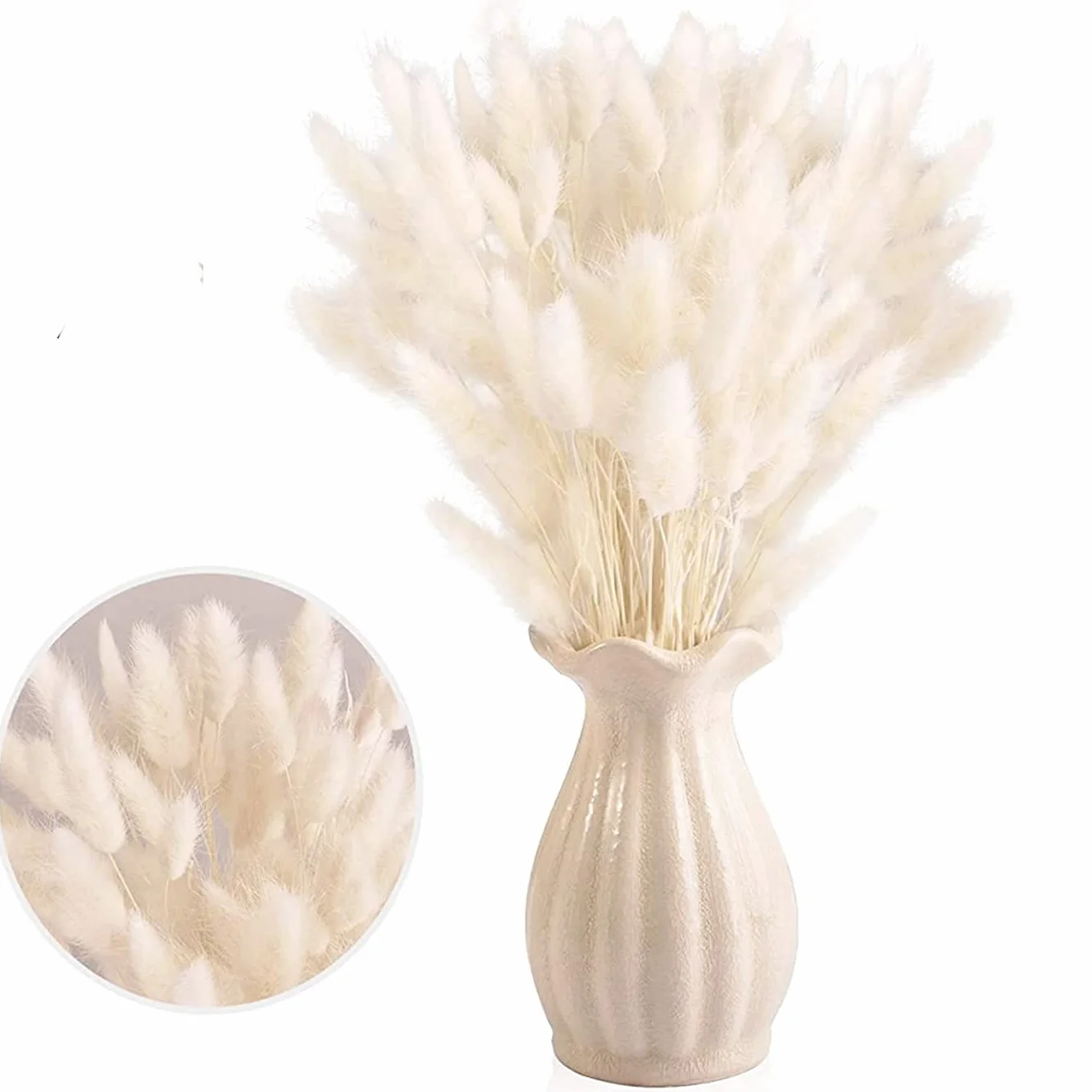 Piccola Erba Secca di Pampa,Coda di Coniglio Essiccata Mazzi di Erba 30 PCS Coda di Coniglio Pampa Erba Secca Naturale Fiore Artificiale per Matrimonio Decorazione D'interni Domestica Giardino Festa