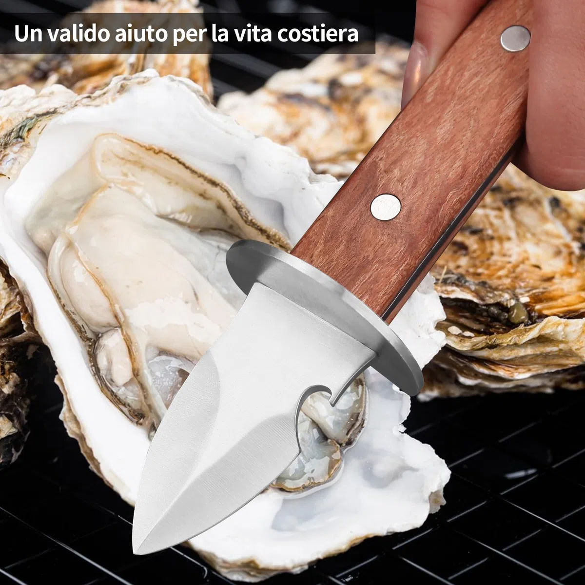 Coltello da Ostriche, Coltello per ostriche e apribottiglie，per Crostacei o Formaggi a Pasta Dura, BBQ, ristoranti, incontri all'aperto