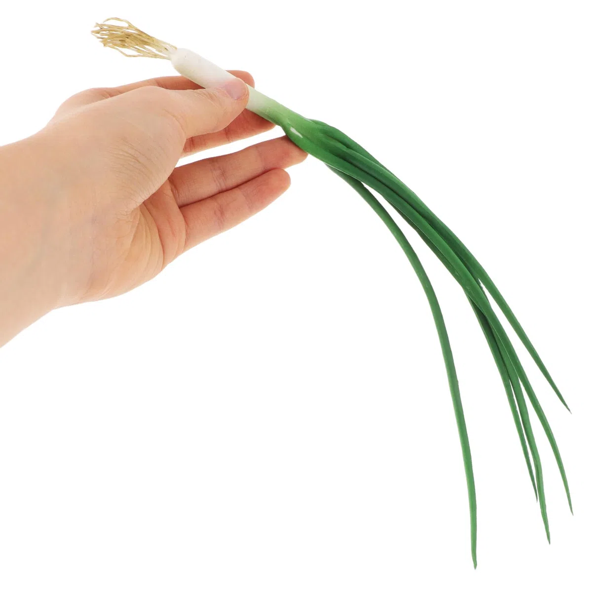 Cipolle Verdi Finte Realistiche in Schiuma e Plastico per Decorazione Cucina e Oggetti di Scena Fotografici Design Elegante e Atmosfera Vivace