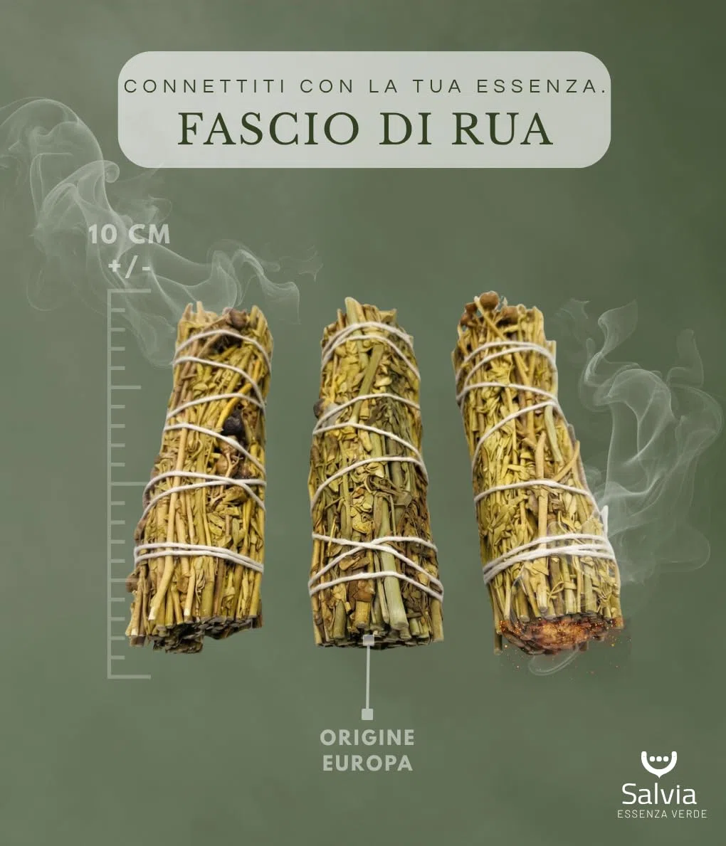 SALVIA | Smudge Ruta 10cm 3 Pezzi | Incenso Naturale | Aroma Intenso Tradizionale per Uso Aromatico