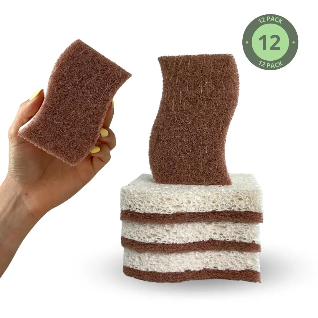 Spugna da cucina naturale biodegradabile Bio4You, compostabile, in cellulosa e noce di cocco, confezione da 12 spugne ecologiche per piatti, forma pratica
