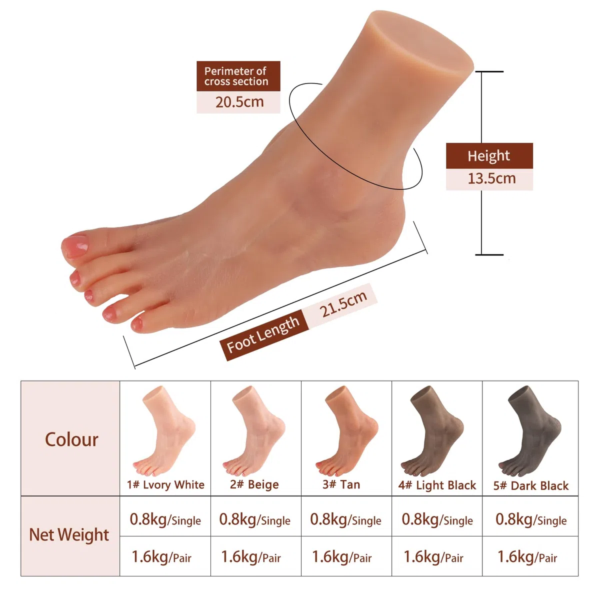 Manichino Piede Falso in Silicone Restituzione Realistica 1:1 Morbido e Flessibile Modello per Pratica Mostra Gioielli Protesi Manicure e Collezioni d'Arte (Donna, Destro, Nero Chiaro)