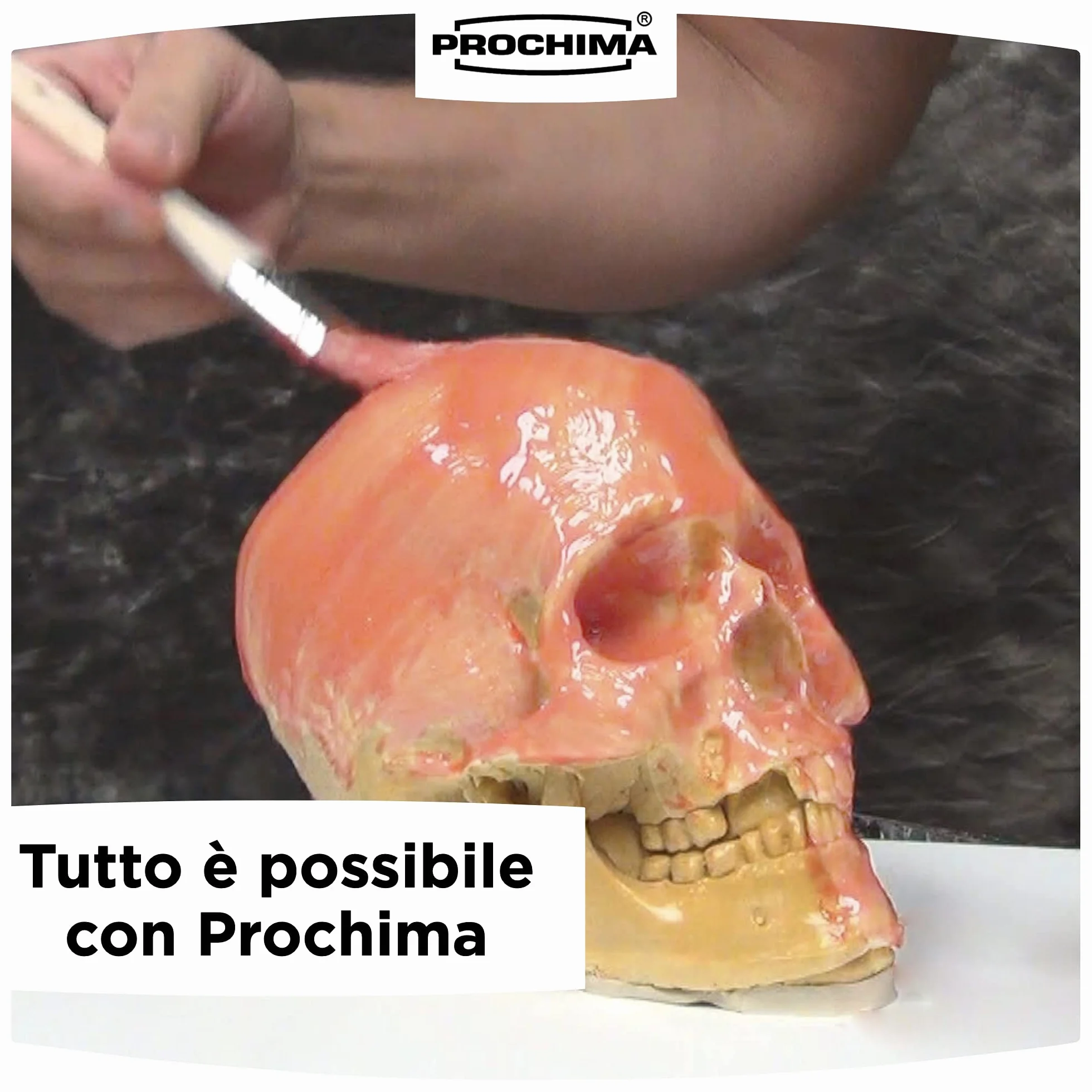PROCHIMA EM501K1 Latex, Trasparente