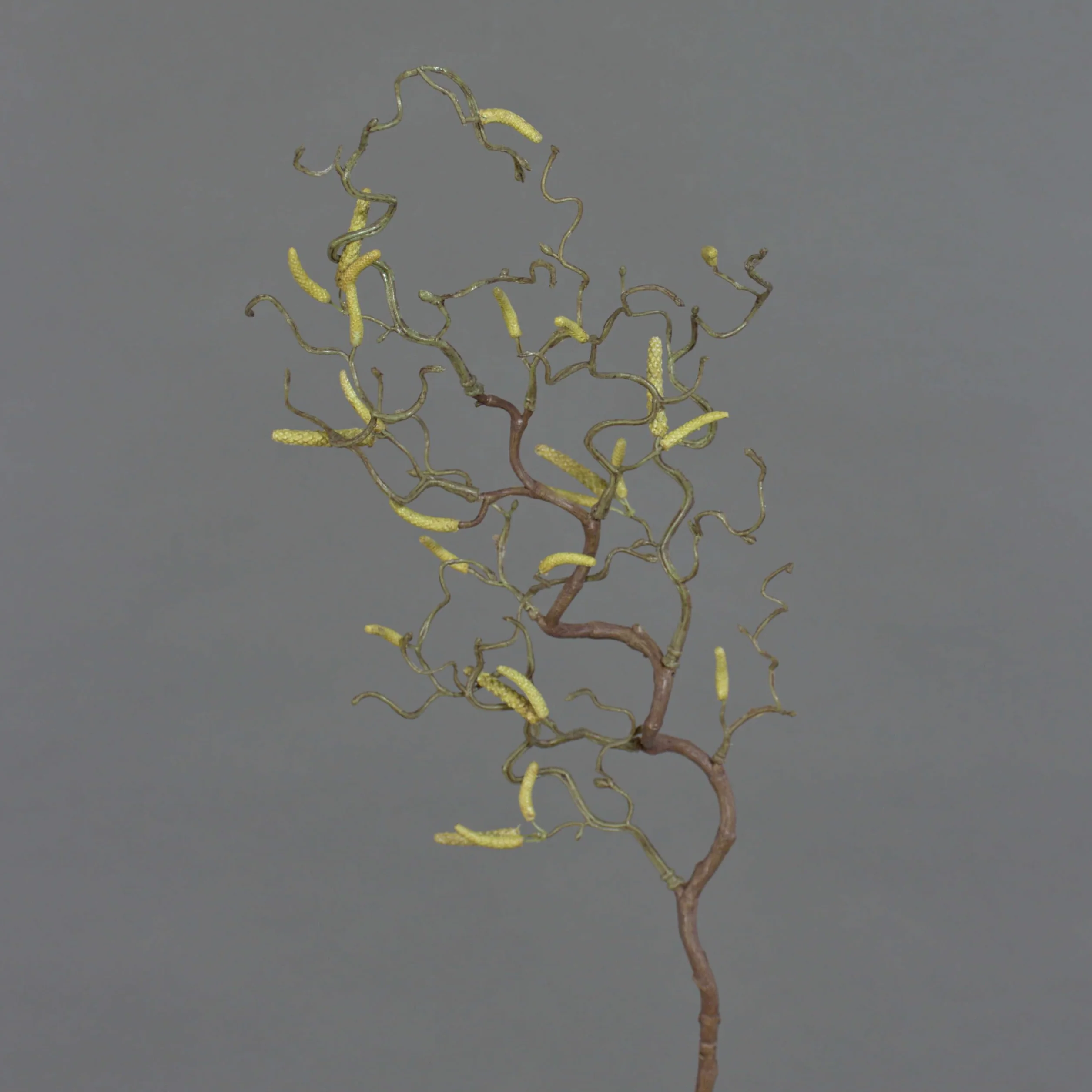 artplants.de Ramo di nocciolo Artificiale con 20 amenti, 65cm - Nocciolo Decorativo/Ramo Ornamentale