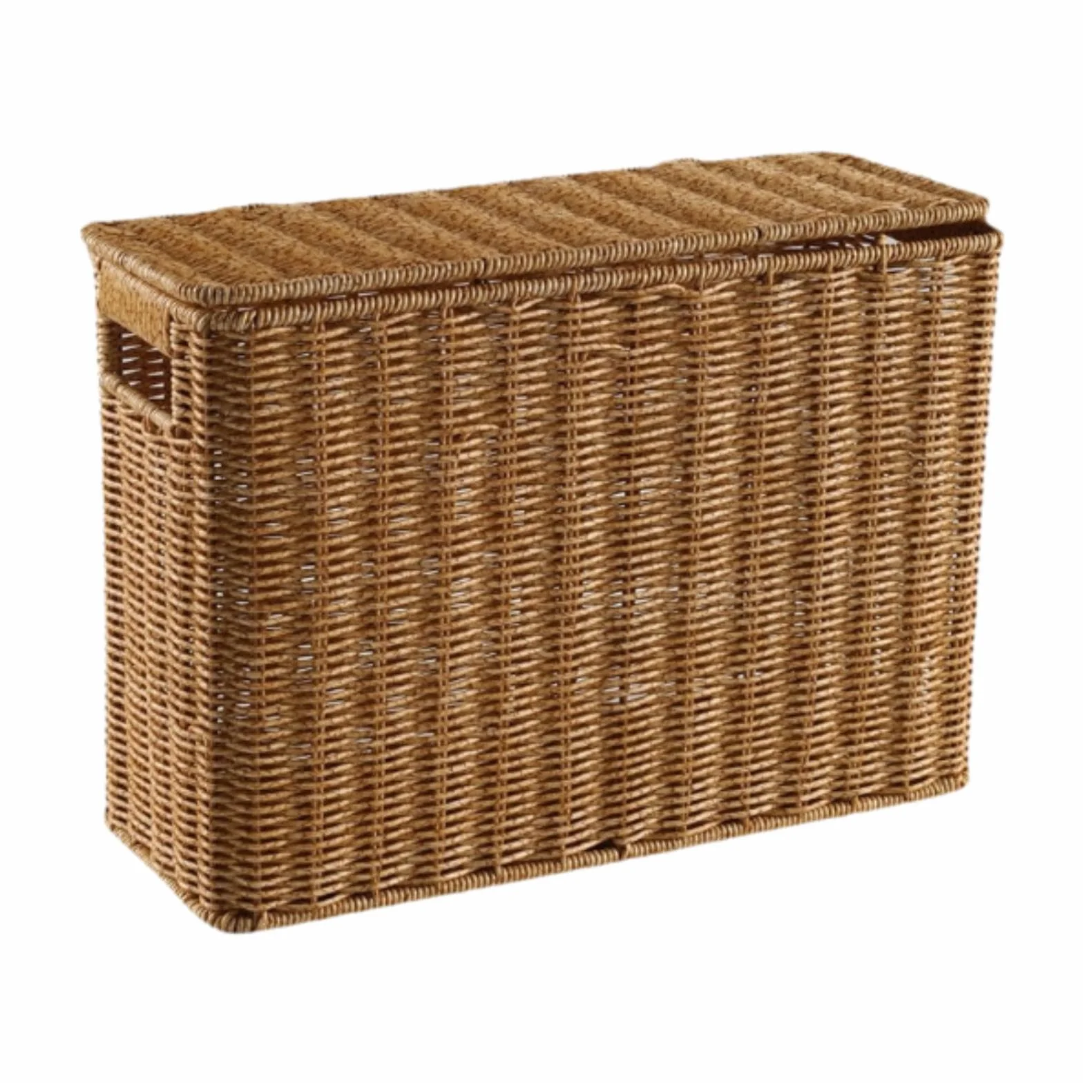 rockible Contenitore Sottile E Alto, Porta Riviste Intrecciato con Coperchio, Contenitore Sottile Portatile, Portadocumenti Sottile per Il Bagno, L