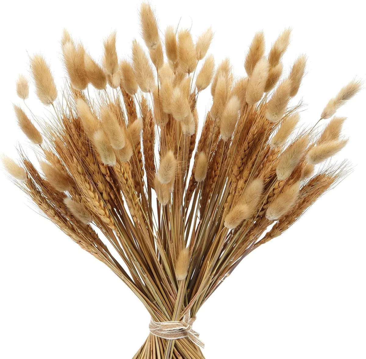 160PCS Bouquet di Pampas Grass Essiccato Fiori Secchi Decorativi,Fiori Essiccati Bunny Tails,Pompas Marroni,Pampas Grass Decorazione da Tavolo Boho per Matrimoni, Feste Rustiche, Baby Shower