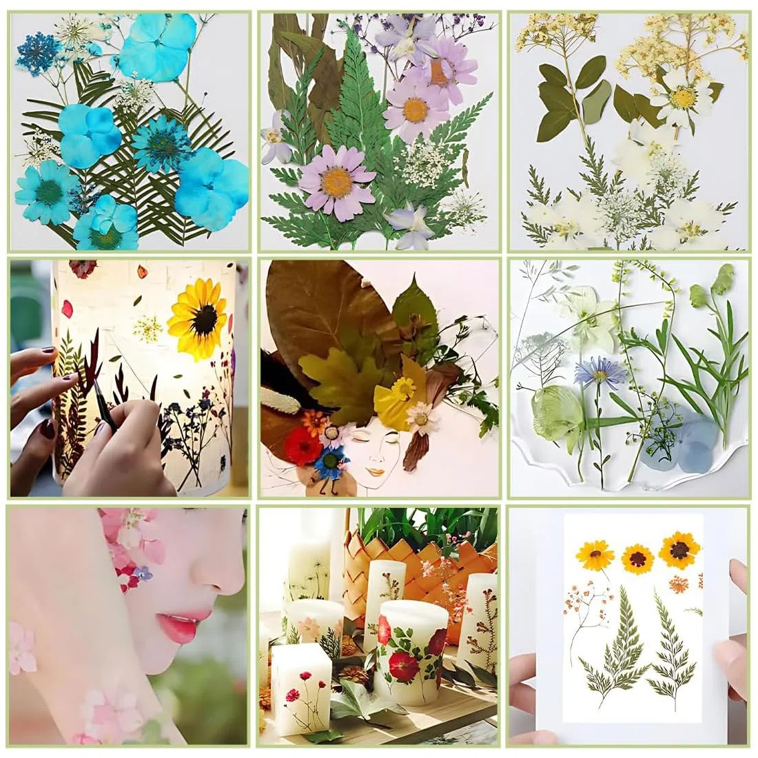 36 Pezzi Foglie Secche, Foglie Secche Naturali, Foglie vere Essiccate Pressate, Verde Essiccato Naturale Assortito per Resina, Candele, Gioielli, Sapone, Artigianato, Decorazioni