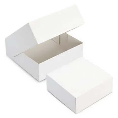 Set di 10 scatole per torta in cartone - Lunghezza x Larghezza: 25 cm x 25 cm, Altezza 8 cm