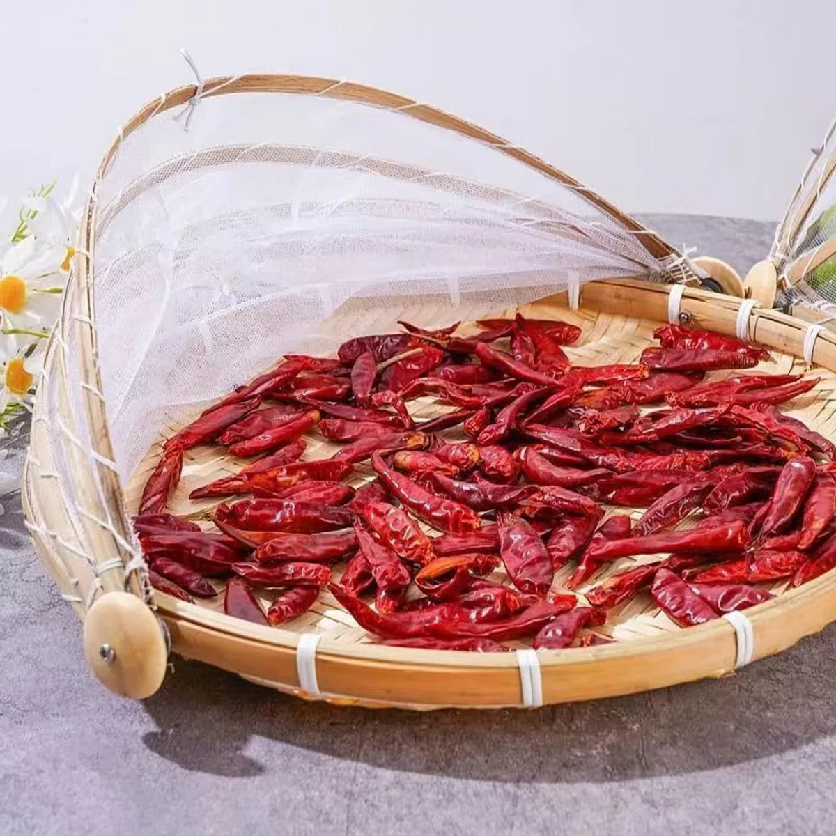 Cesto da frutto a Rete con Tenda Alimentari di Coperchio Bamboo da 11 Pollici con Copertura di Garza in Rete per Verdure Frutta Snack da Dessert Pane