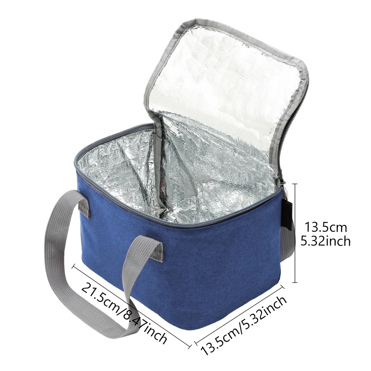 Nanxson Borsa Termica Porta Pranzo, 4L Mini Borsa Frigo Piccola Riutilizzabile Portatile Borsa Termica Pranzo al Sacco per Lavoro, Ufficio, Scuola, Picnic, Viaggi (4L,Blu Reale)