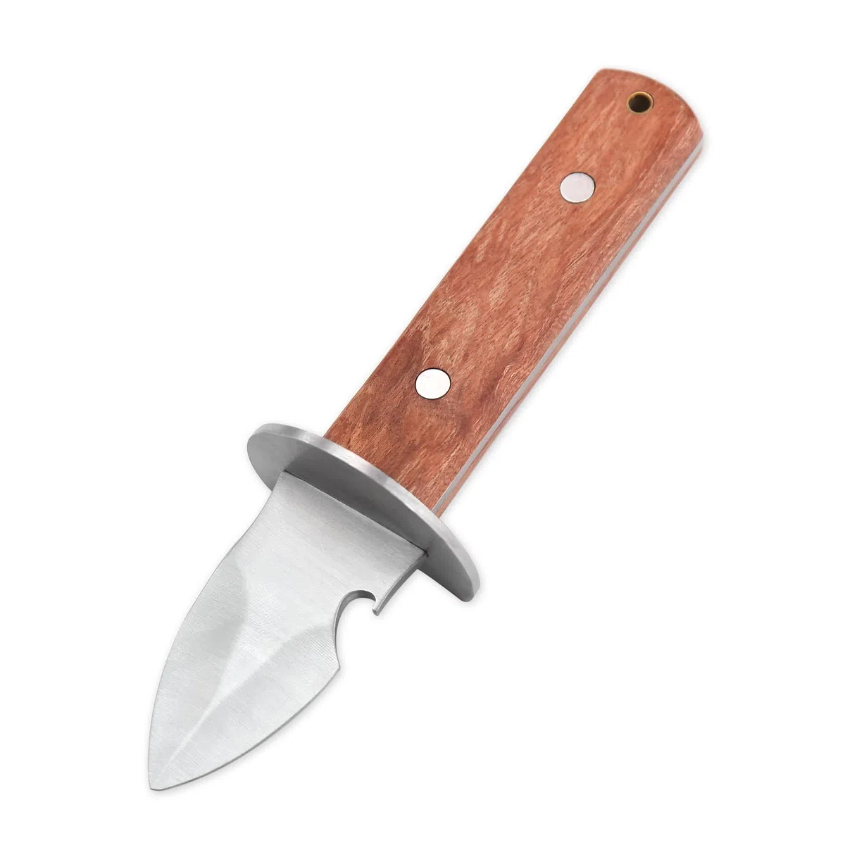 Coltello da Ostriche, Coltello per ostriche e apribottiglie，per Crostacei o Formaggi a Pasta Dura, BBQ, ristoranti, incontri all'aperto