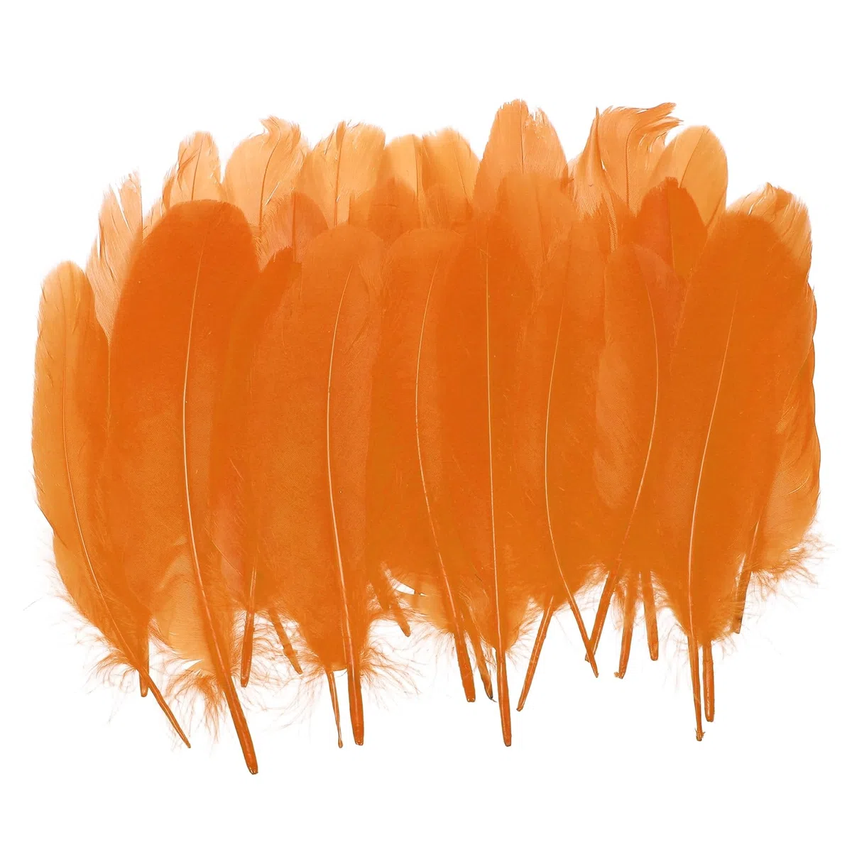 PATIKIL 4-7" Piume D'Oca Naturali All'ingrosso Per Artigianato, 200 Confezione Piume Lunghe Assortite Decorazioni Per Acchiappasogni Fai Da Te, Cappello， Ghirlande, Arancione