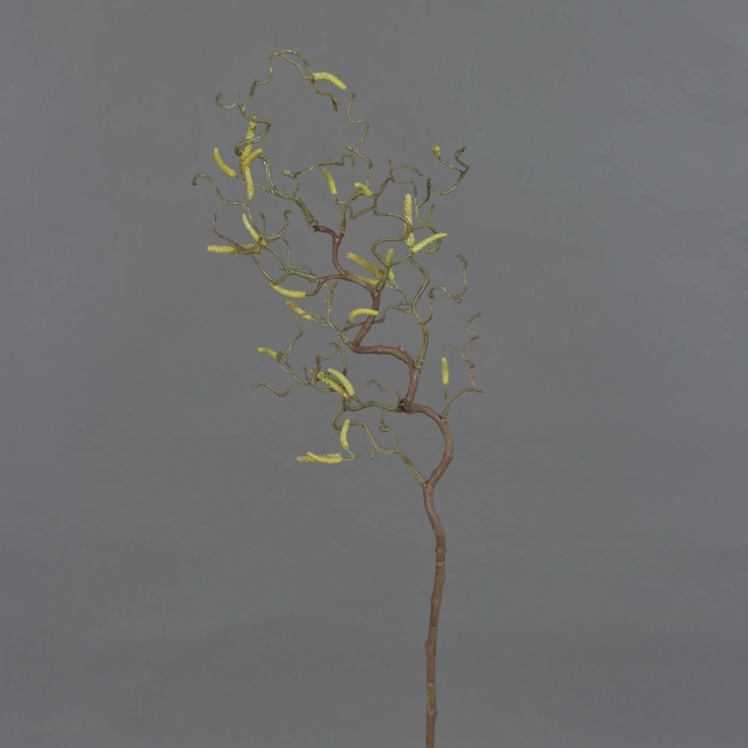artplants.de Ramo di nocciolo Artificiale con 20 amenti, 65cm - Nocciolo Decorativo/Ramo Ornamentale