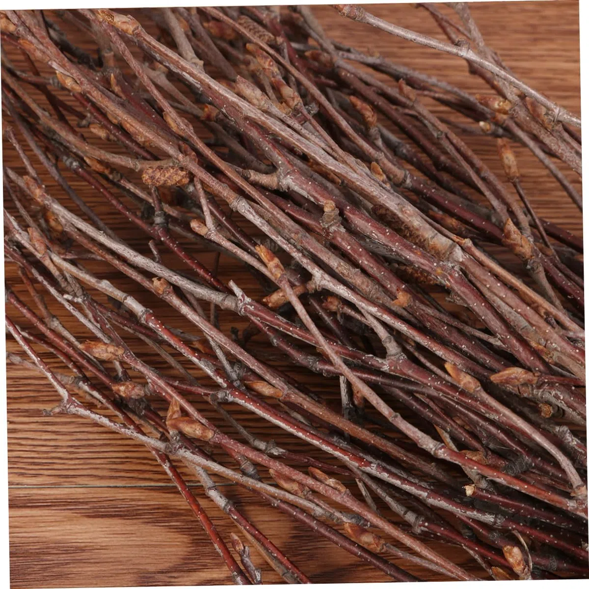 DOITOOL 10 Pezzi Rami di Betulla Secchi Decorativi in Legno Marrone 40 Cm per Decorazione Rustica Casa e Accessori Fotografici
