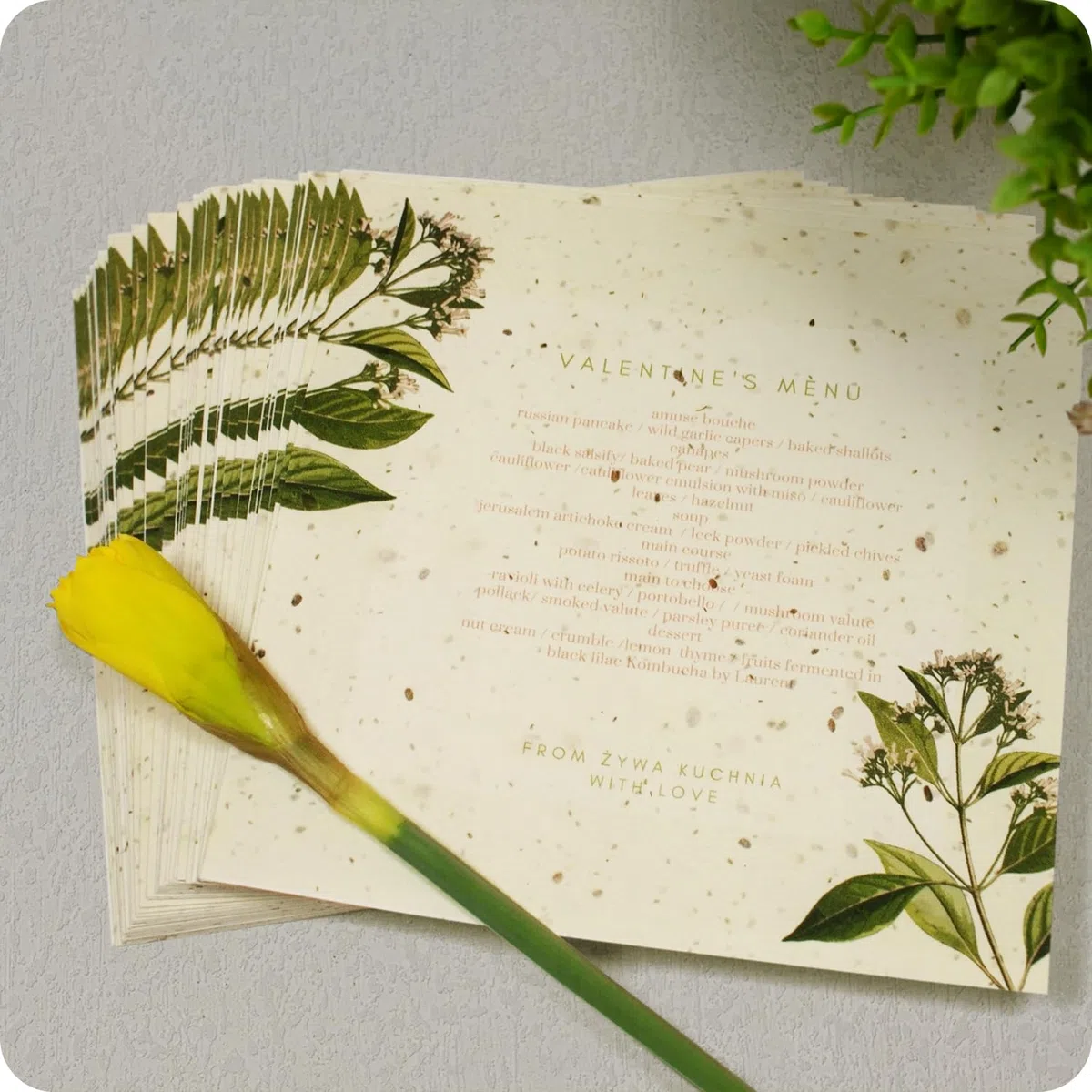 Netuno 5 fogli Carta Piantabile con Semi di Fiori A4 21 x 29,7 cm carta fatta a mano Ecologica Biodegradabile per Inviti Biglietti Bomboniere Regali Originali Germoglia e Fiorisce