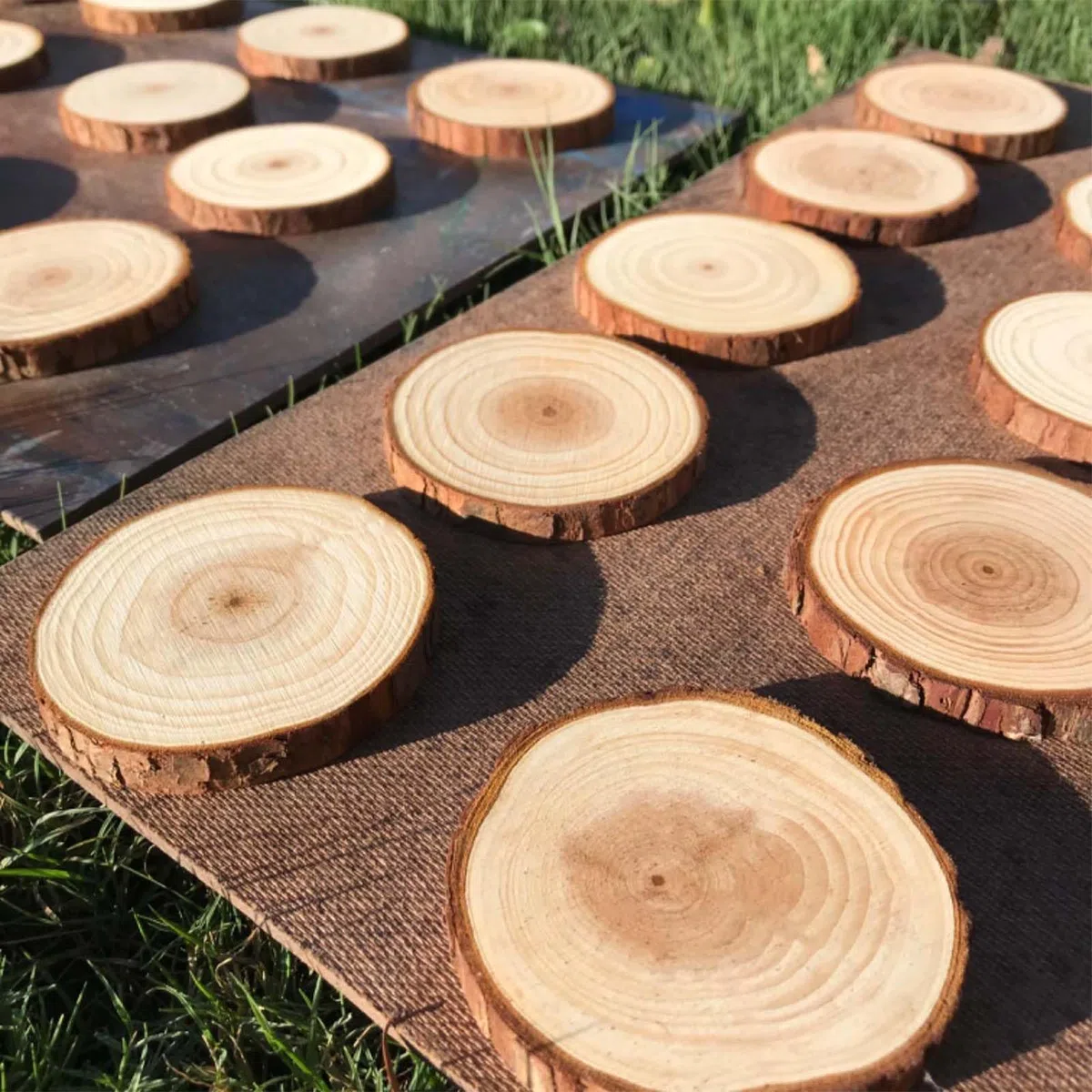 Dischi di Legno Dischetti legno 8-9 cm 22 pz da Decorare, Tronco Legno