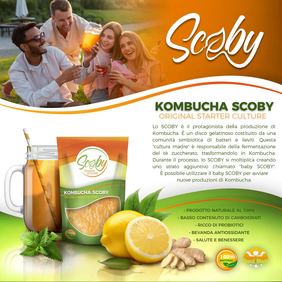 Beer & Wine – Scoby Madre Bevanda Kombucha – Kit per Avviamento Kombucha – Starter Kit per Kombucha con Ricetta (Starter Liquido, 100ml)