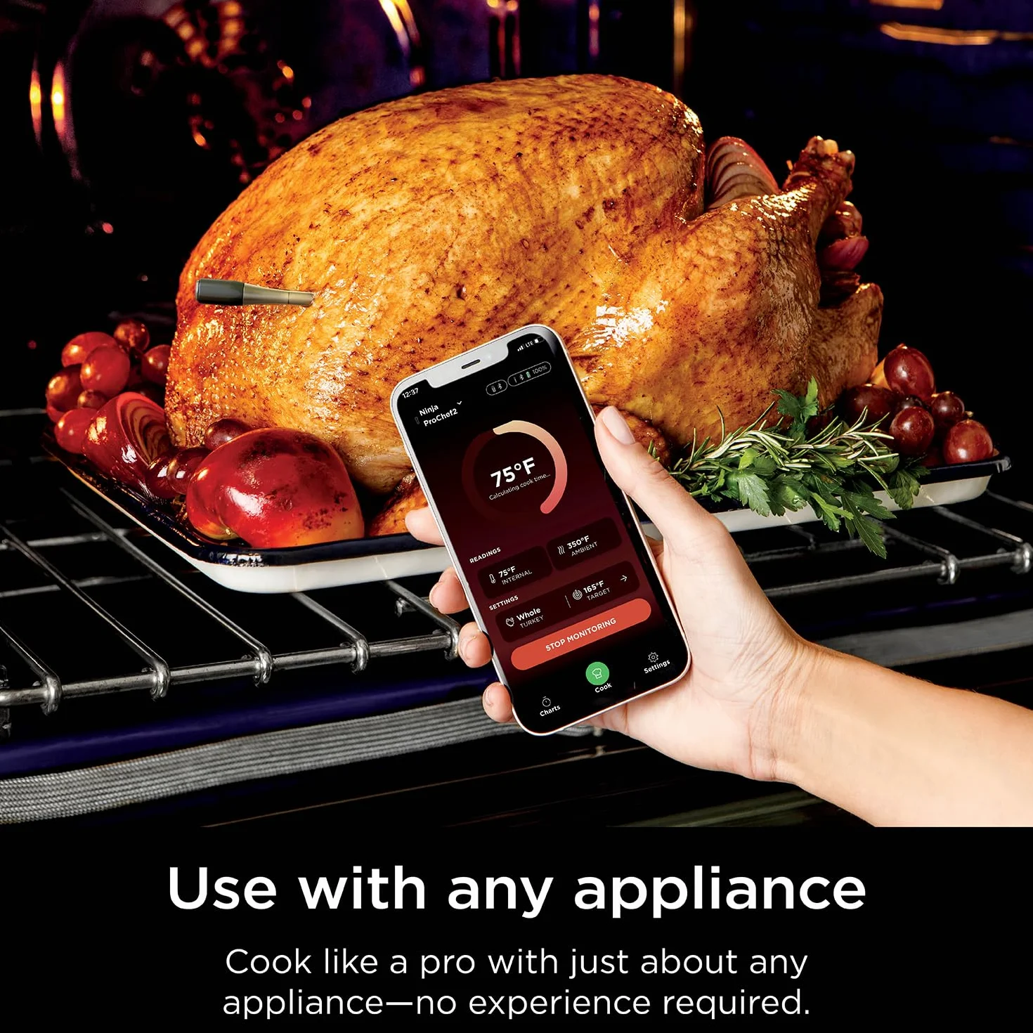 Ninja ProChef WP100EU - Termometro sonda wireless per interni ed esterni, per cucinare, grigliare e friggere ad aria, con portata Bluetooth di 50 m e durata della batteria di 30 ore, connessione