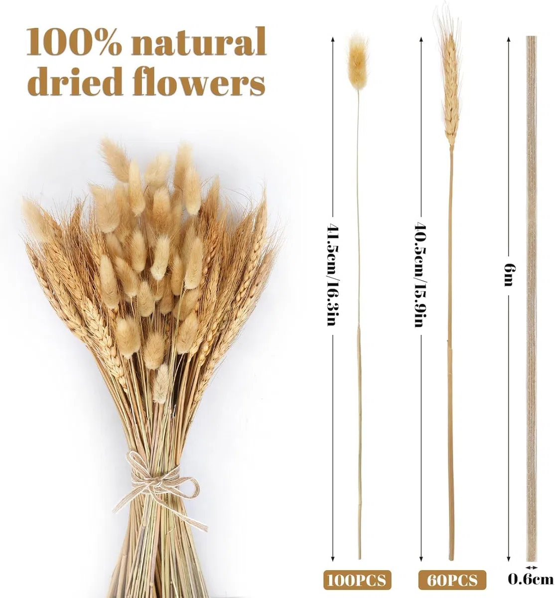 160PCS Bouquet di Pampas Grass Essiccato Fiori Secchi Decorativi,Fiori Essiccati Bunny Tails,Pompas Marroni,Pampas Grass Decorazione da Tavolo Boho per Matrimoni, Feste Rustiche, Baby Shower