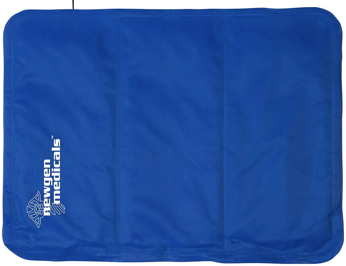 newgen medicals materassi refrigeranti per persone: Set da 2 cuscini rinfrescanti, 30 x 40 cm, blu (cuscino di supporto, coperta rinfrescante per persone, fresco)