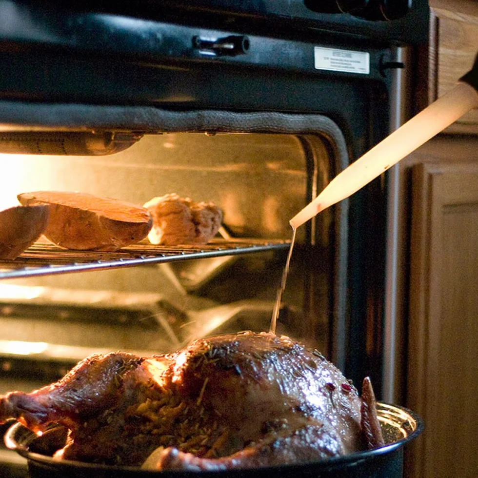 Amison, siringa dosatrice per ungere la carne, per carne di pollo e di tacchino, pipetta da 30 ml