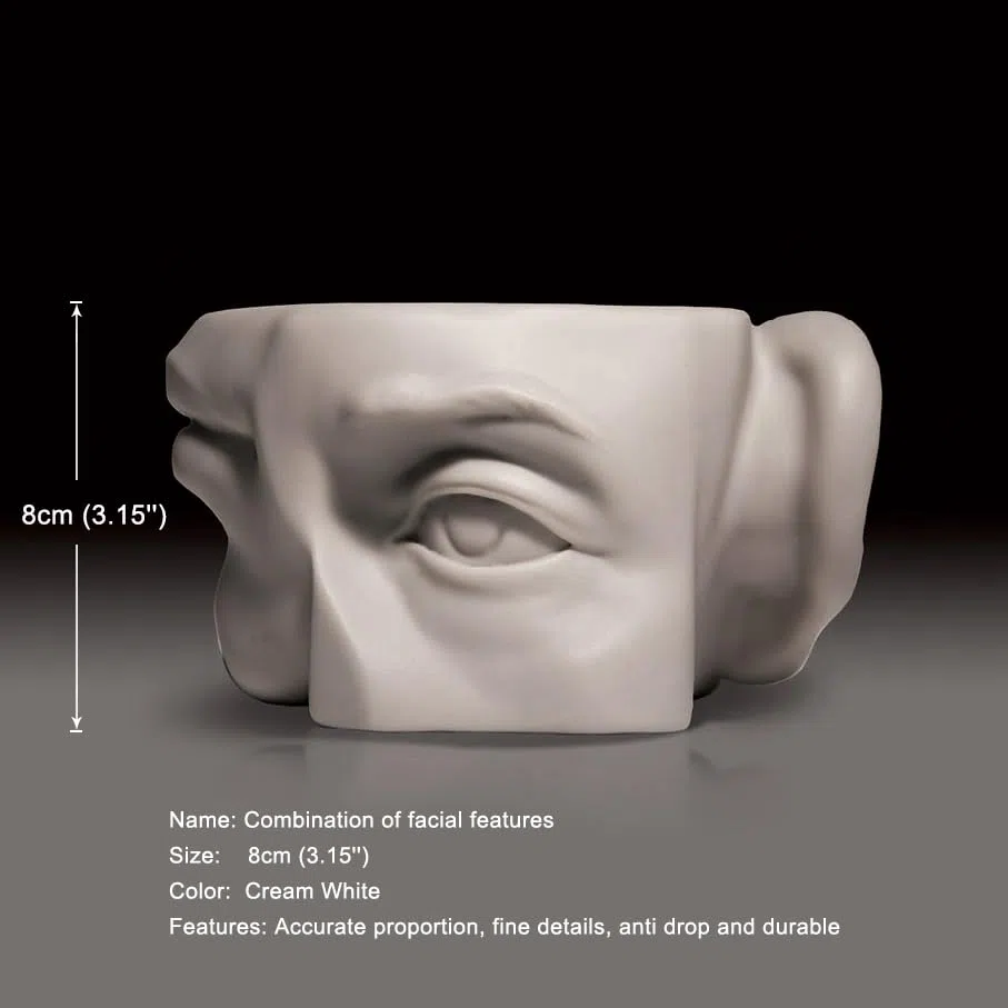 Scultura combinata con cinque caratteristiche facciali (occhi/naso/orecchie/bocca/sopracciglia tutto in uno) – strumento didattico artistico per schizzi, struttura della testa, antiurto e