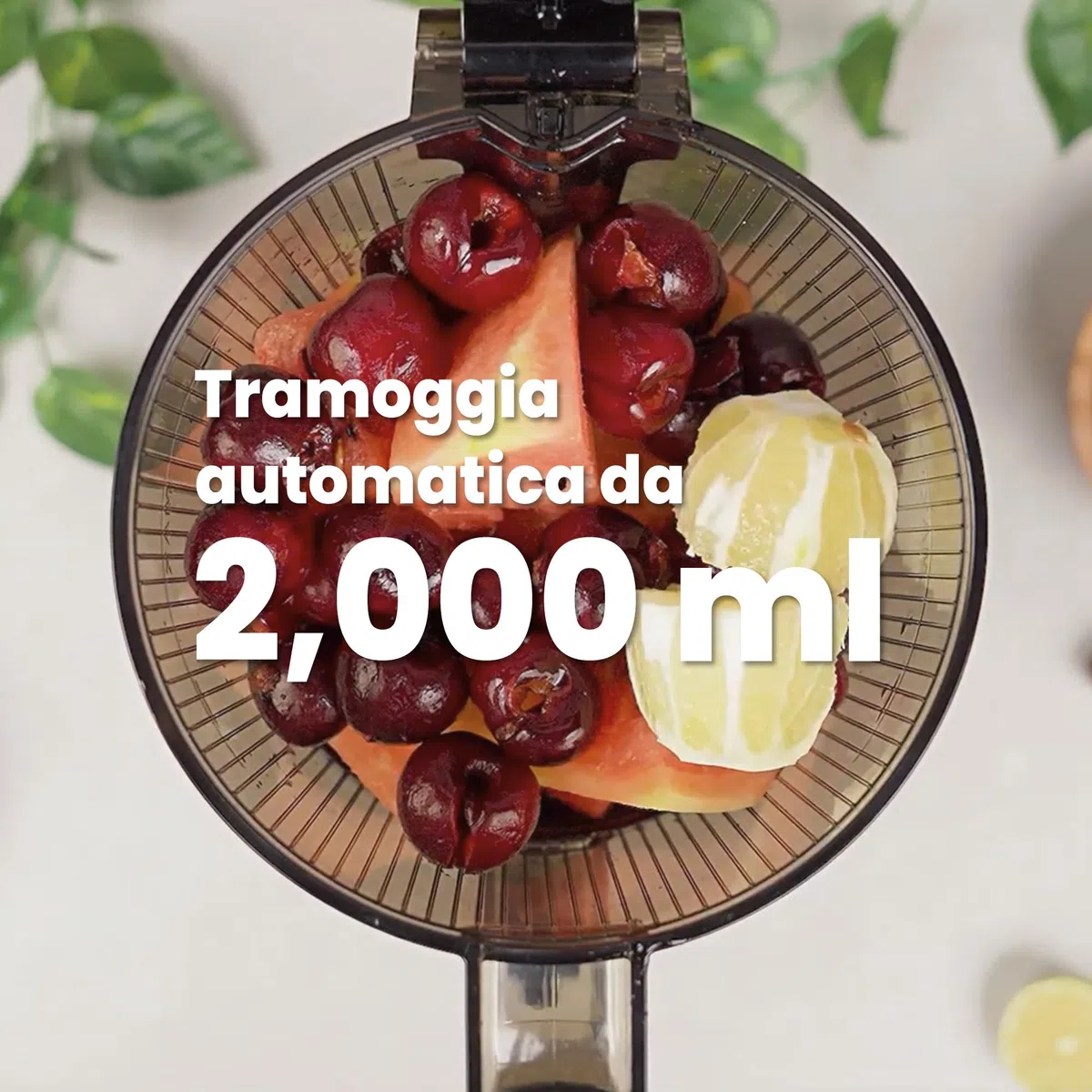 Kuvings Estrattore AUTO8, Spremiagrumi e Centrifuga - Lenta e facile da pulire, capacità 2L, motore da 200W ideale per frutta, verdura e smoothies.(Nero)_KHS-860SE