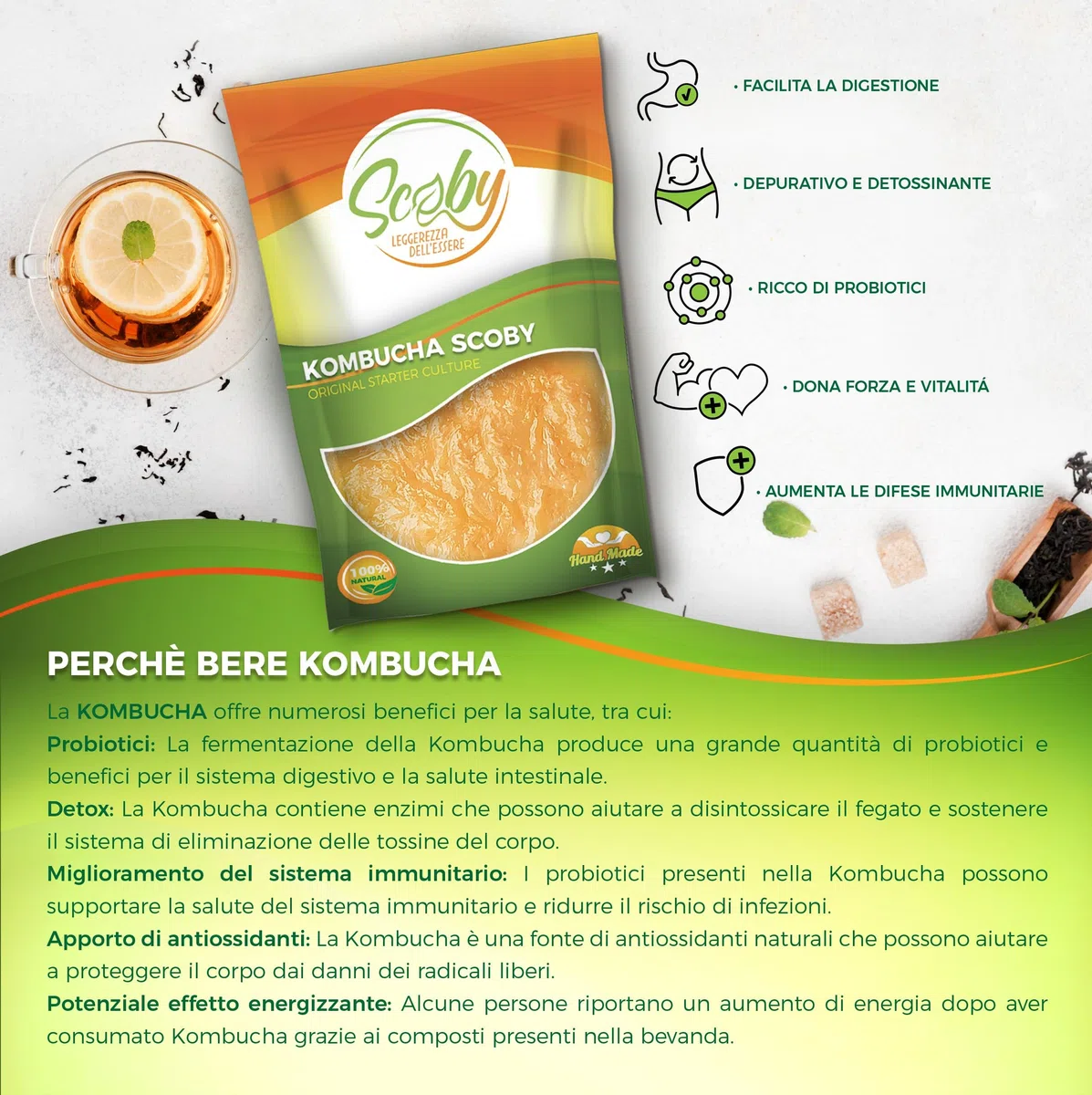 Beer & Wine – Scoby Madre Bevanda Kombucha – Kit per Avviamento Kombucha – Starter Kit per Kombucha con Ricetta (Starter Liquido, 100ml)