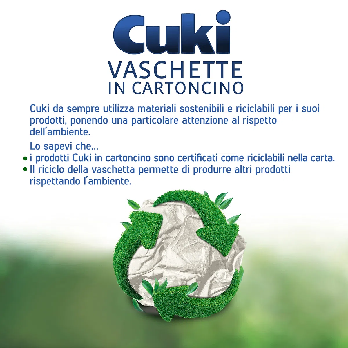 Cuki Vaschette in cartoncino forno tradizionale e a microonde - 2/3 porz - rettangolari [RC63] - 18 vaschette (Multipack)