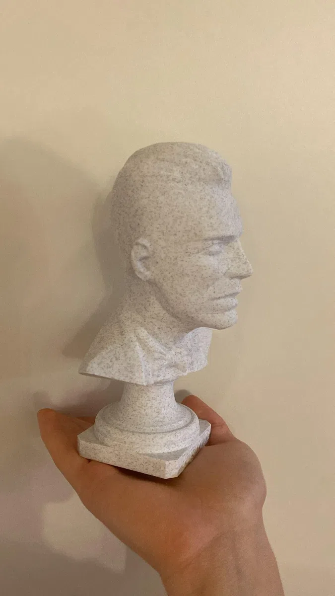 Busto 3D Personalizzato in Materiale Atossico, Stampa 3D di Persone e Animali, 20 x 20 x 35 cm, Bianco
