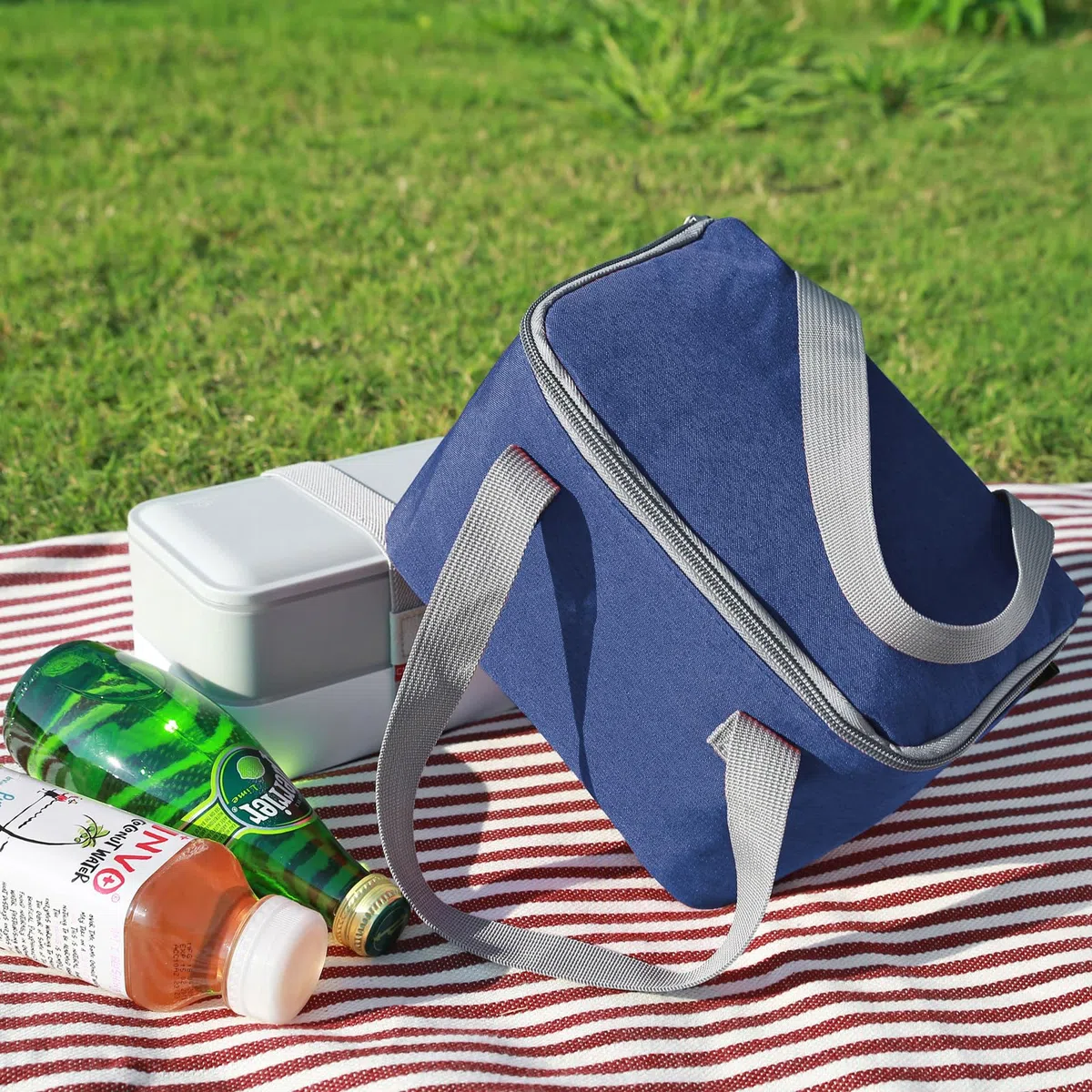 Nanxson Borsa Termica Porta Pranzo, 4L Mini Borsa Frigo Piccola Riutilizzabile Portatile Borsa Termica Pranzo al Sacco per Lavoro, Ufficio, Scuola, Picnic, Viaggi (4L,Blu Reale)