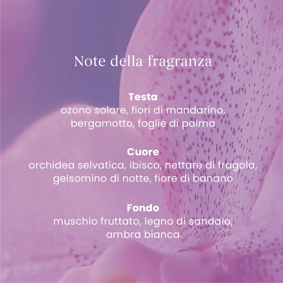 Yankee Candle Diffusore a Bastoncini | Orchidea Selvaggia | Per ambienti piccoli e medi | Fino a 10 settimane di fragranza