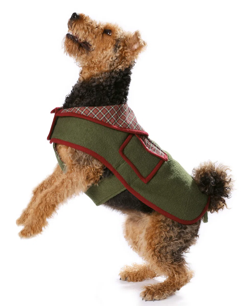 Burda B7752 - Cartamodello per cappottino per cane, dimensioni: 19 x 13 cm