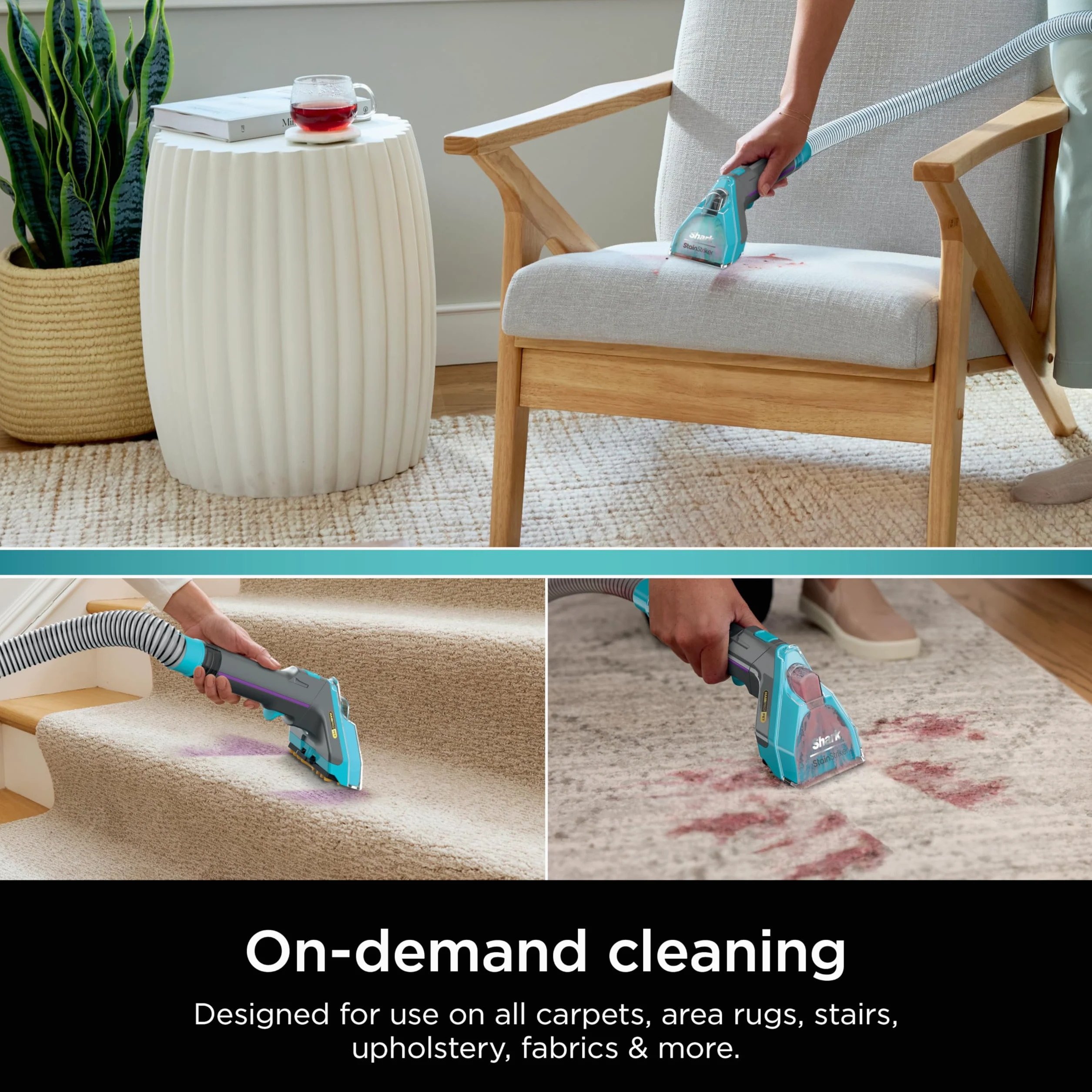 Shark EXCM48 CarpetXpert Deep Clean Pro Formula per detergenti Shark per tappeti verticali e portatili, formulata per tutti i tappeti, tappezzeria e tappeti, elimina i disordini e gli odori degli