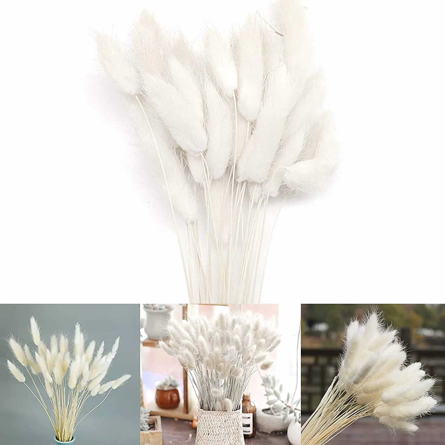 Piccola Erba Secca di Pampa,Coda di Coniglio Essiccata Mazzi di Erba 30 PCS Coda di Coniglio Pampa Erba Secca Naturale Fiore Artificiale per Matrimonio Decorazione D'interni Domestica Giardino Festa