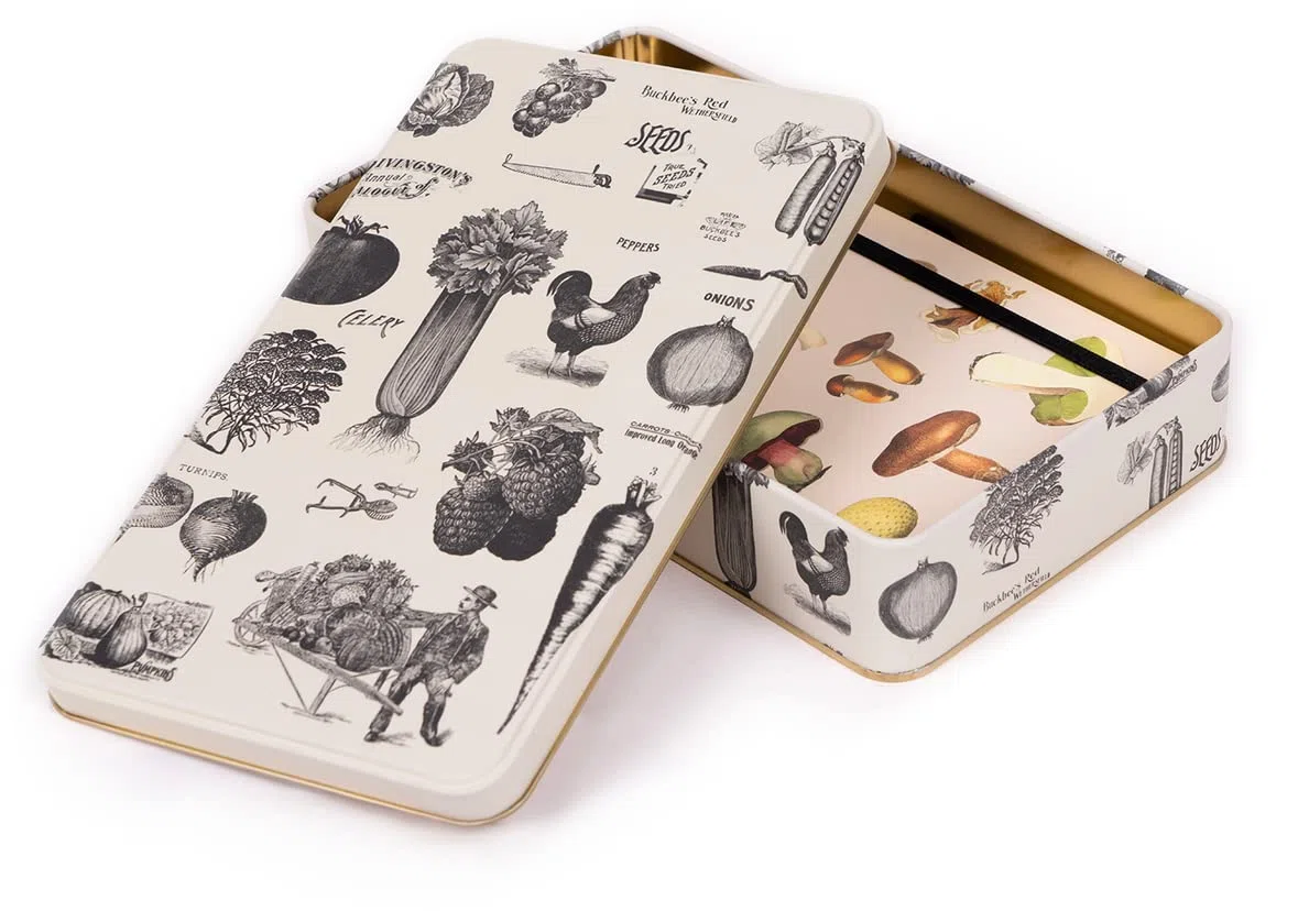 NOTIQUE Scatola di latta in metallo con coperchio, stile nostalgico, scatola per biscotti, contenitore per piccoli oggetti, collezione Herbarium (Retro)