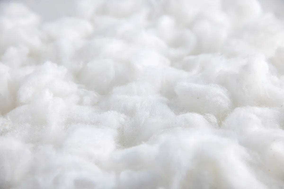 GEMITEX Imbottitura per cuscini, 45x75 cm, morbida e soffice, ideale per i Cuscini da Divano e Camera da letto, tessuto esterno in polipropilene interno in fiocco di poliestere, Made in Italy