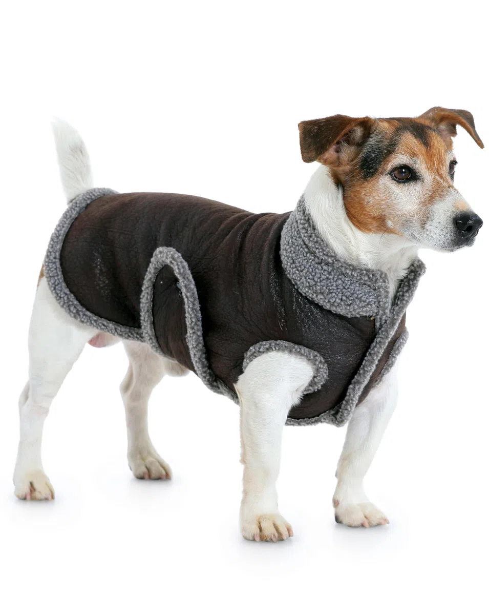 Burda B7752 - Cartamodello per cappottino per cane, dimensioni: 19 x 13 cm