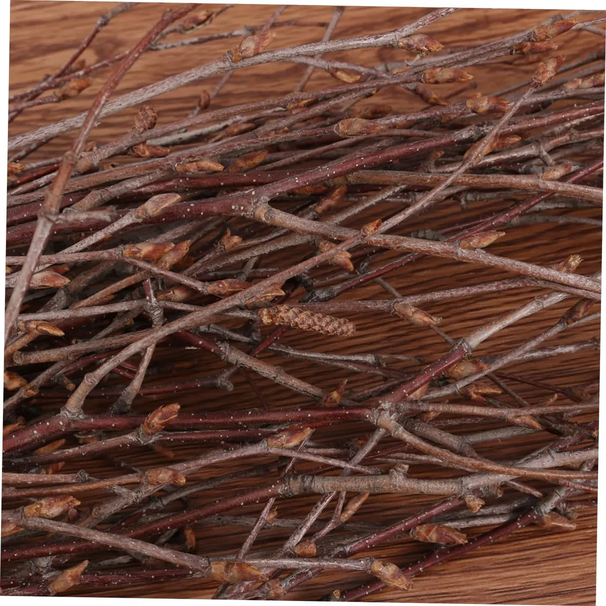 DOITOOL 10 Pezzi Rami di Betulla Secchi Decorativi in Legno Marrone 40 Cm per Decorazione Rustica Casa e Accessori Fotografici