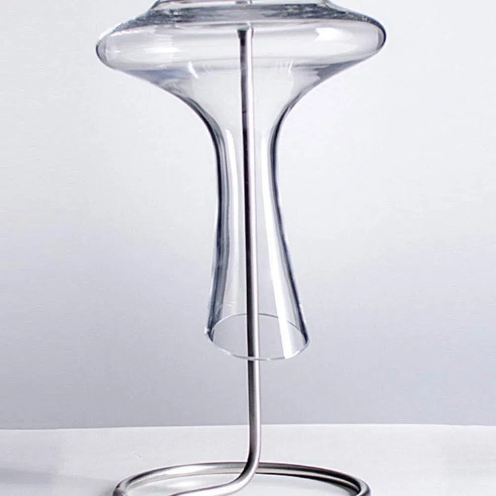 2 Pezzi Stendino per Decanter per Vino in Acciaio Inossidabile/Portabottiglie per Champagne/Contenitore Versatore per Vino Capovolto Supporto per Asciugatura/per Accessori per Uso Domestico in Cucina