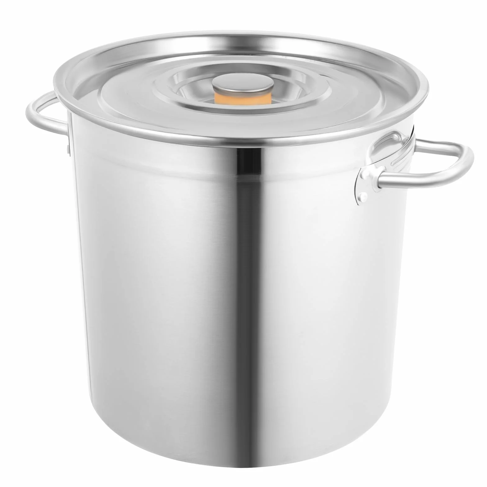 Pentola grande da 35 l, in acciaio inox, con coperchio, per fornelli a gas, elettrici, a induzione, argento