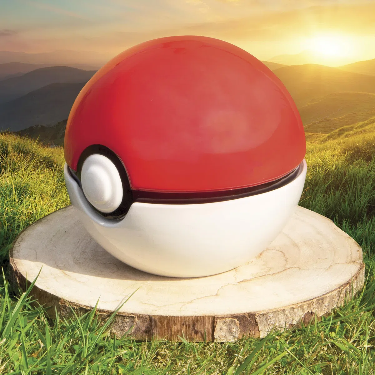POKEMON Cookie Jar Pokéball