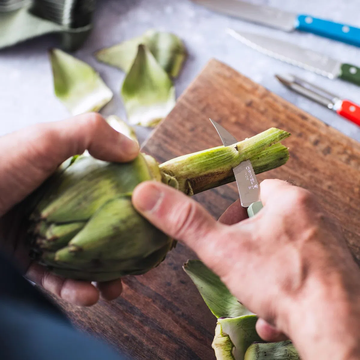 OPINEL Essential No.114 - Coltello per verdure, manico in legno di carlino, prodotto in Francia, colore: Blu scuro